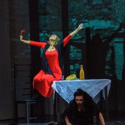 Сельская честь — Санкт-Петербург, 19 декабря