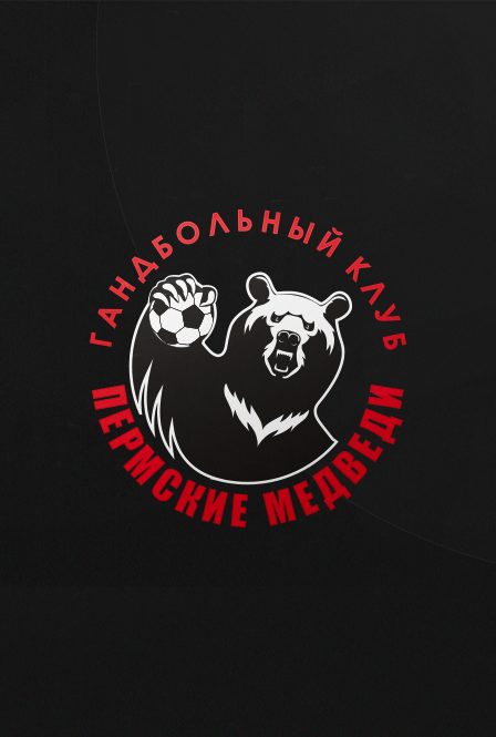 Чемпионат России по гандболу. СУПЕРЛИГА 26/27. Команды: Пермские медведи х МУОР-Академия (г.Москва)