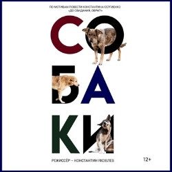 Собаки — Новосибирск, 27 ноября
