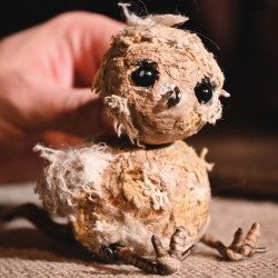 Цыпленок — Санкт-Петербург, 7 ноября