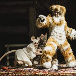 Все мыши любят сыр — Москва, 29 ноября