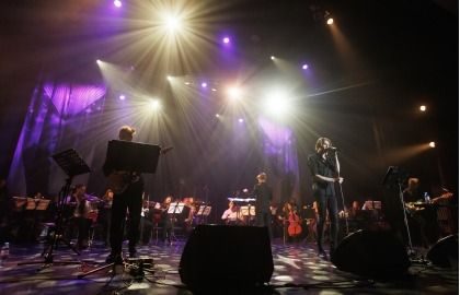 Desert Rose Symphony