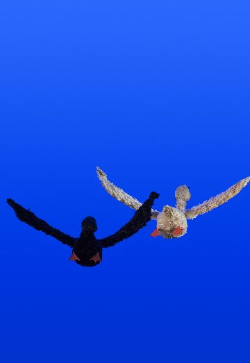 Дикий