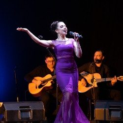 Дрома ромэн — Москва, 8 ноября